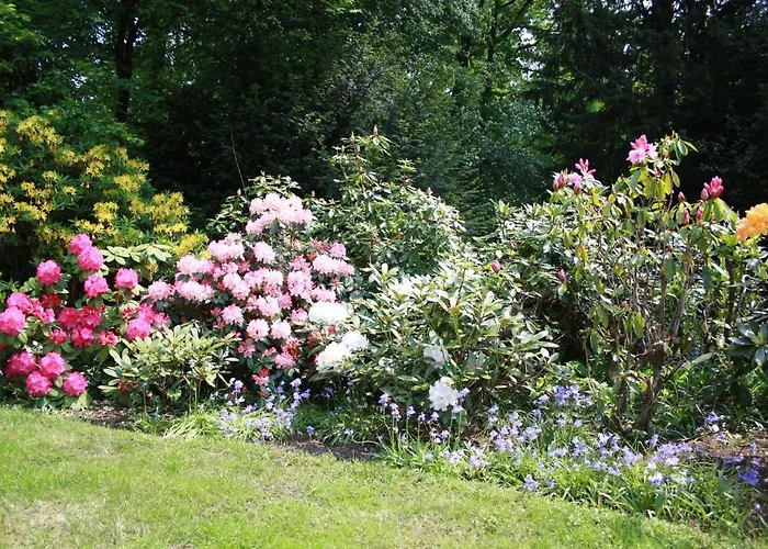 B&B De Kwakkenberg Nijmegen